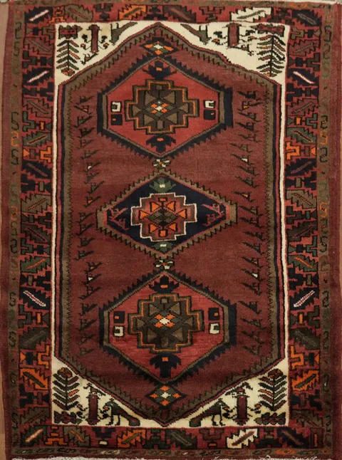 Hamedan Persian Area Rug 3x5