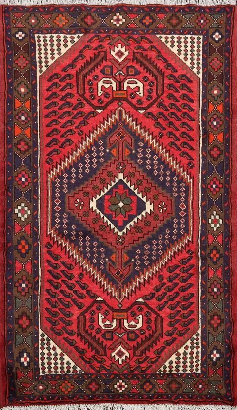 Hamedan Persian Area Rug 3x5