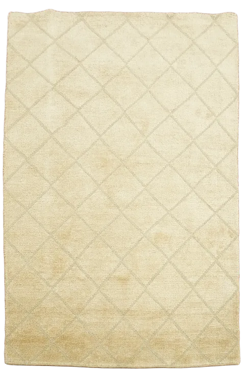 Trellis Moroccan Oriental Area Rug 4x6