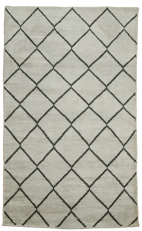 Trellis Moroccan Oriental Area Rug 3x5