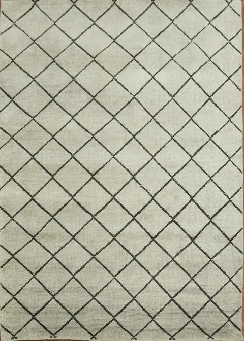 Trellis Moroccan Oriental Area Rug 5x7