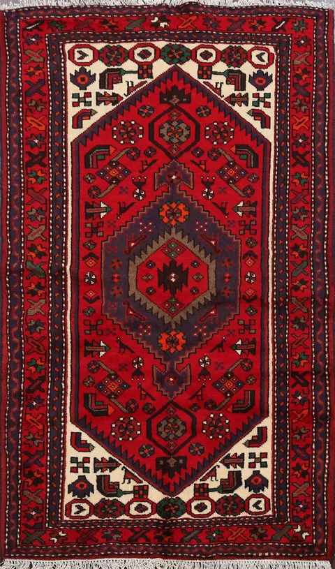 Tribal Hamedan Persian Area Rug 3x5