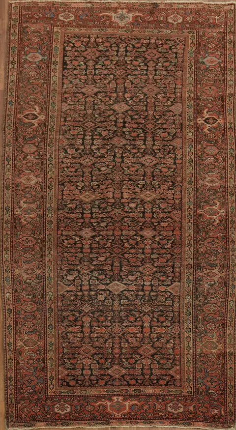 Pre-1900 Antique Vegetable Dye Malayer Persian Rug 5x10
