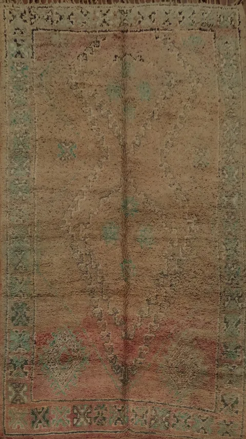 Timeless Faded Geometric Moroccan Area Rug 6x11 in Natural Hues