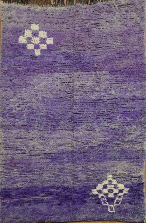 Tribal Modern Oriental Area Rug 5x7