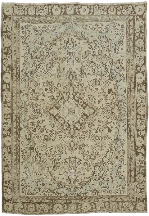 Traditional Neutral Toned Hamedan Persian Rug 6'x9'
