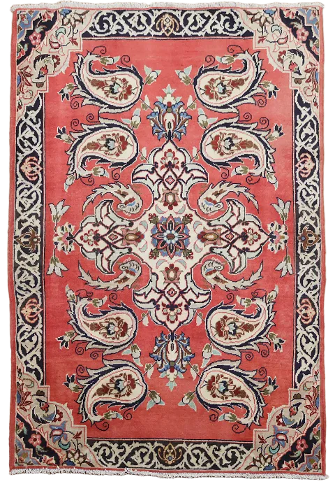 Paisley Kashan Persian Area Rug 3x5