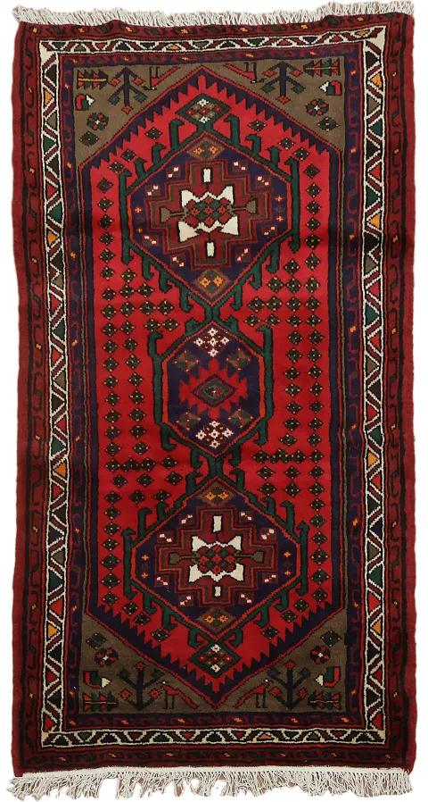 Geometric Hamedan Persian Area Rug 3x5