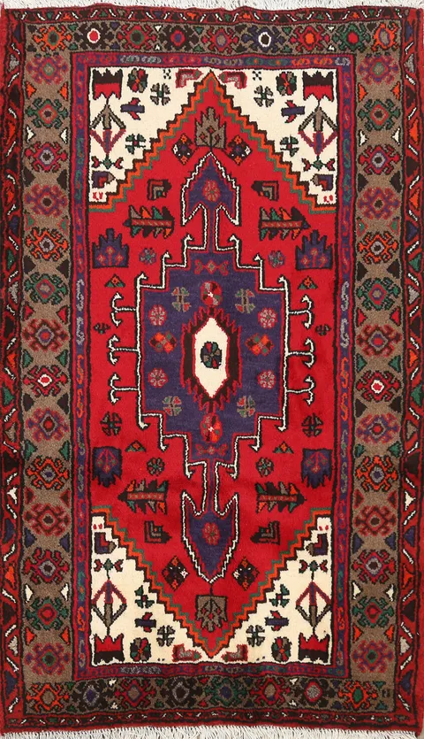 Geometric Hamedan Persian Area Rug 3x5