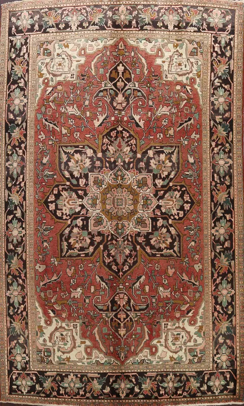Floral Heriz Persian Area Rug 8x11