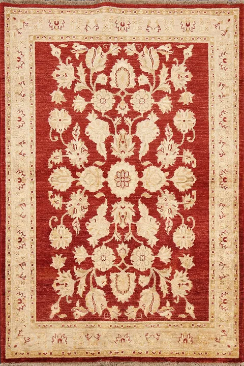 Floral Peshawar Oriental Area Rug 4x6