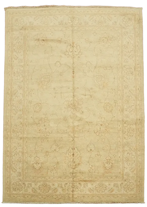 Floral Peshawar Oriental Area Rug 6x8