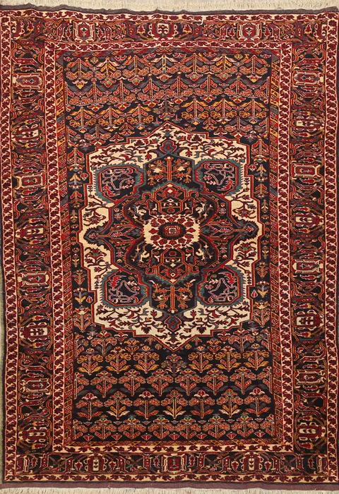 Madder Vegetable Dye Sarouk Farahan Persian Area Rug 4x6