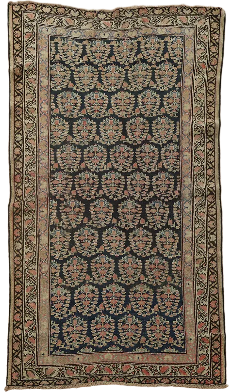 Pre-1900 Antique Vegetable Dye Senneh Bidjar Persian Area Rug 3x5
