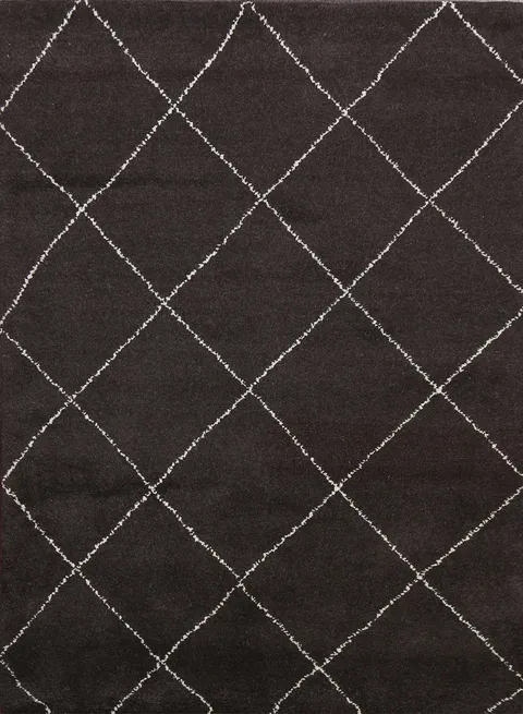 Trellis Modern Moroccan Oriental Area Rug 5x6