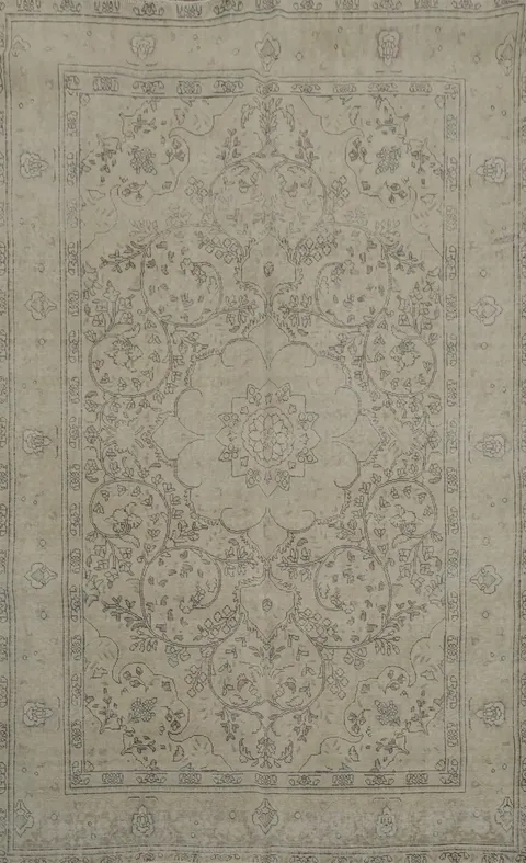 Timeless Traditional Design Distressed Persian Area Rug in Soft Neutral Tones 6x9