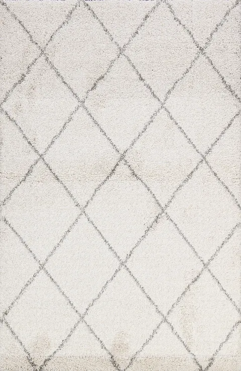All-Over Modern Trellis Oriental Area Rug 5x7
