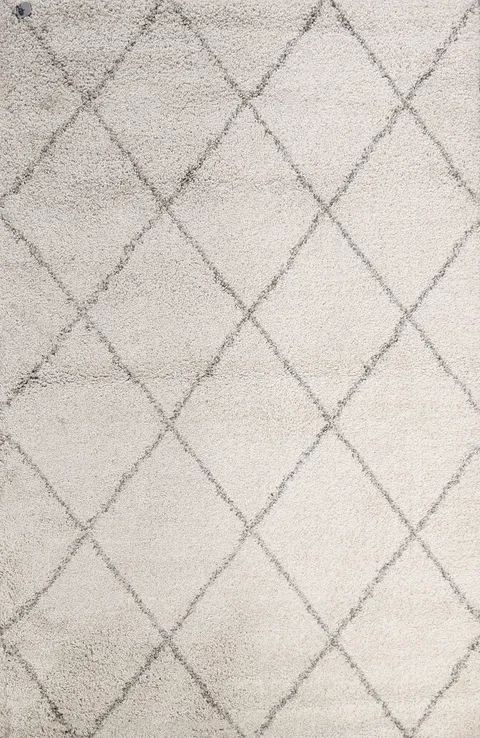 Modern Trellis Oriental Area Rug 5x7