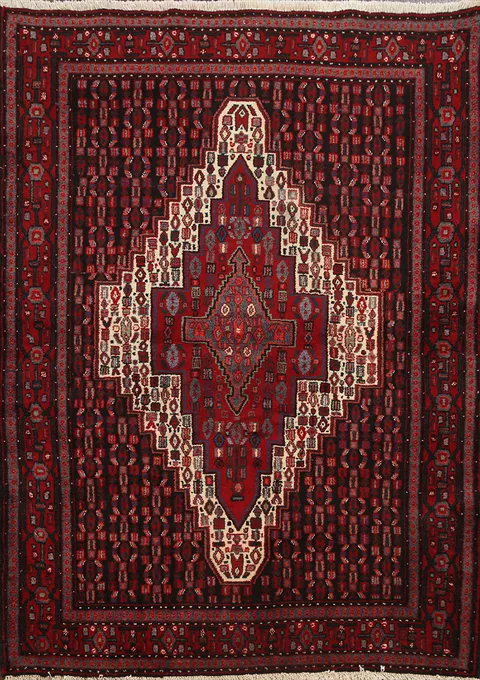 Tribal Geometric Bidjar Persian Area Rug 4x5