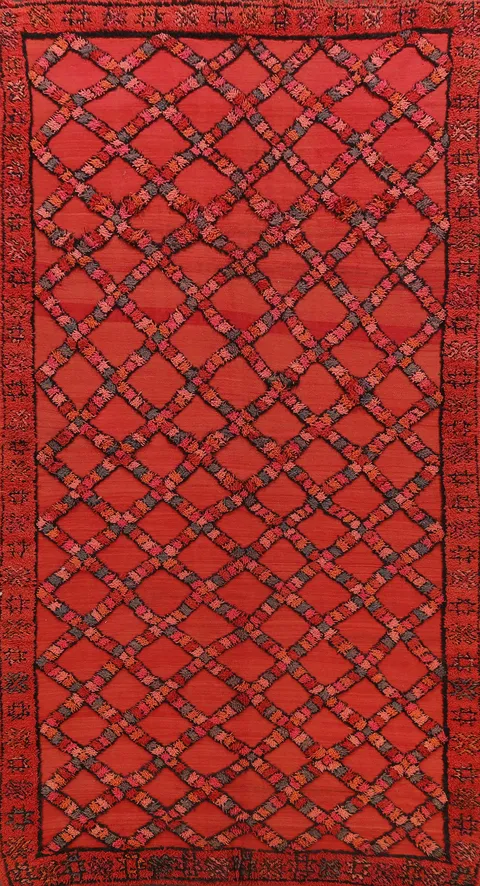 Trellis Moroccan Oriental Area Rug 6x11