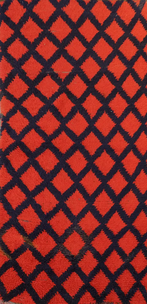 Checkered Tribal Moroccan Oriental Area Rug 3x6