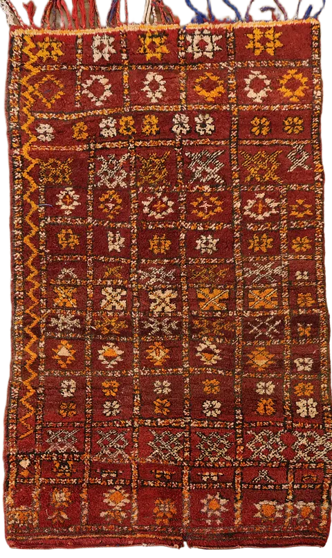 Tribal Moroccan Oriental Area Rug 4x6