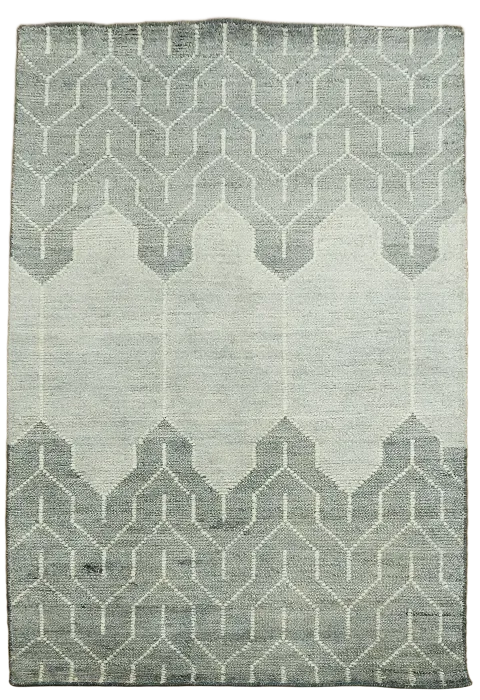 Contemporary Abstract Oriental Area Rug 4x6