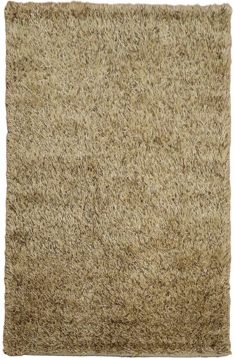 Shaggy Area Rug 5x8