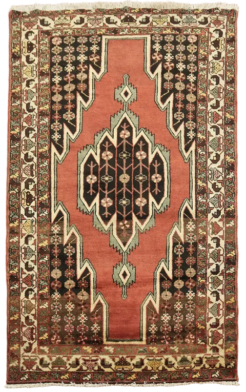 Geometric Hamedan Persian Wool Rug 4x7