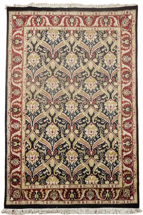 Luxury Oriental Rug Perfect for Sophisticated Homes 4x6