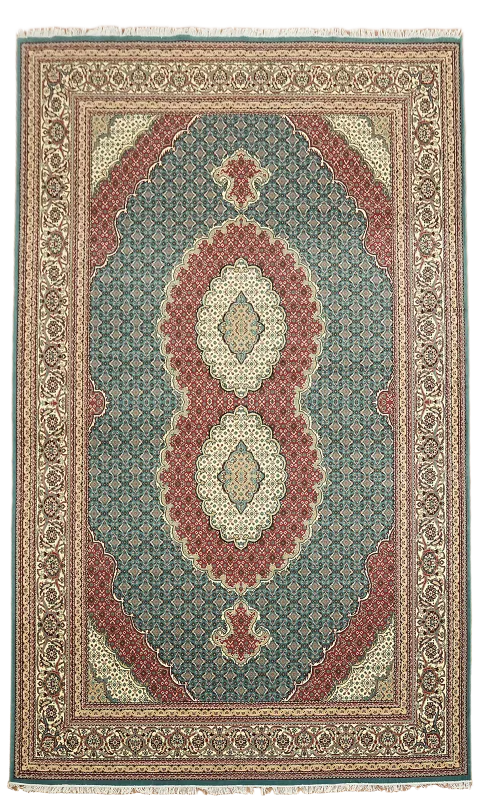 Geometric Tabriz Oriental Area Rug 10x17