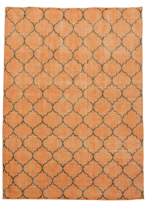 Trellis Moroccan Oriental Area Rug 8x11