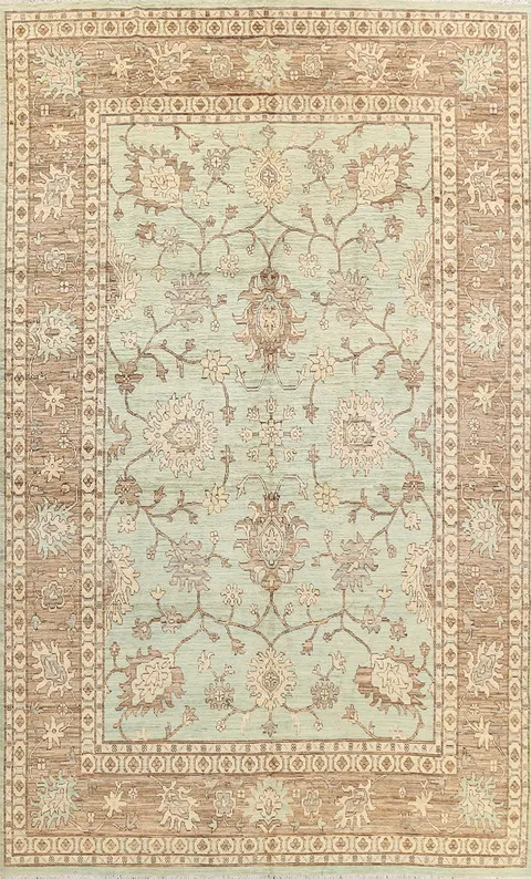 Floral Ziegler Oriental Area Rug 9x13