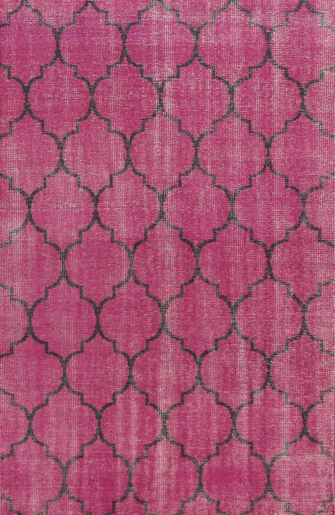 All-Over Trellis Oriental Area Rug 6x9
