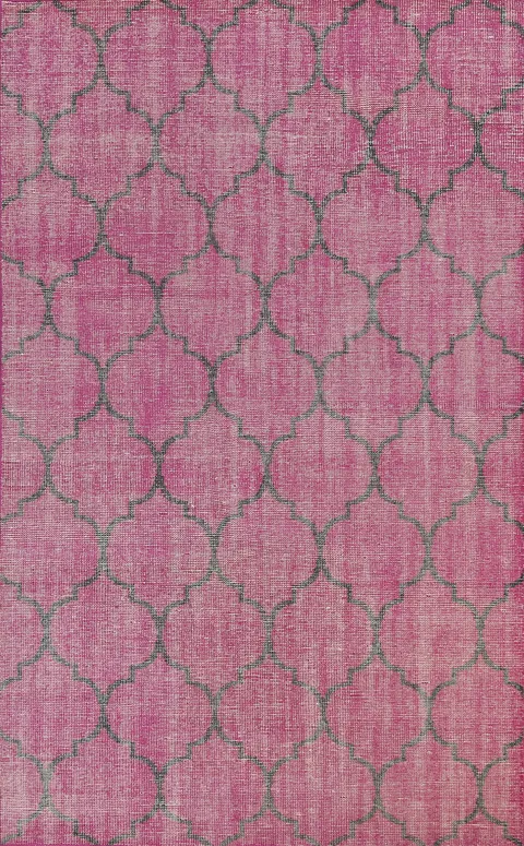 All-Over Trellis Oriental Area Rug 6x9
