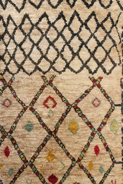 Trellis Moroccan Oriental Area Rug 4x6