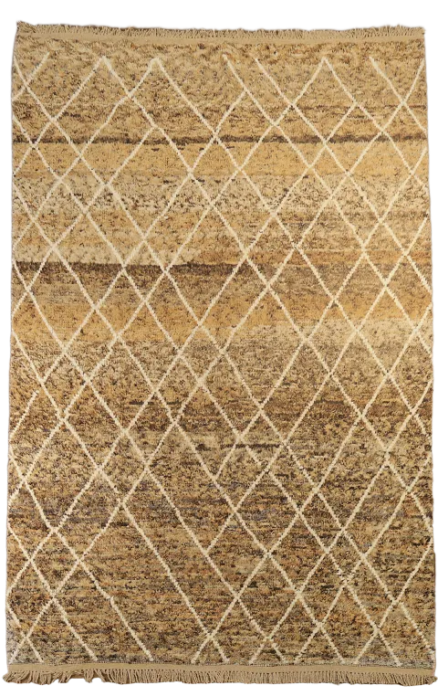 Trellis Moroccan Oriental Area Rug 7x11