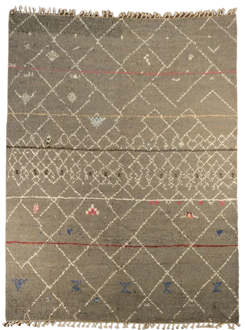 Trellis Moroccan Oriental Area Rug 8x11
