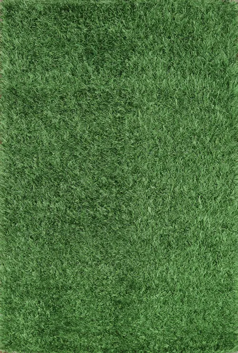 Green Shaggy Modern Oriental Rug 4x6