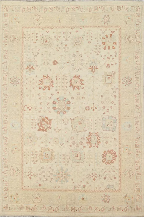 Vegetable Dye Peshawar Chobi Oriental Area Rug 6x8