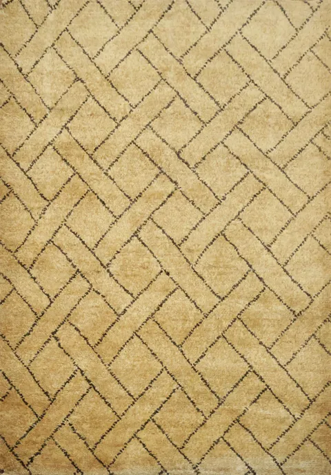 Trellis Moroccan Oriental Area Rug 5x8