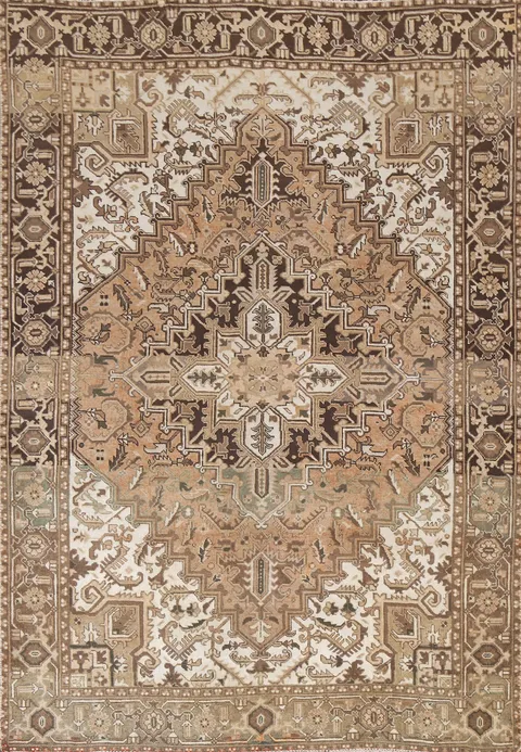 Vintage Geometric Heriz Persian Area Rug 6x9