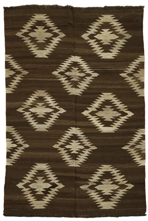 Natural Dye Kilim Oriental Area Rug 4x7