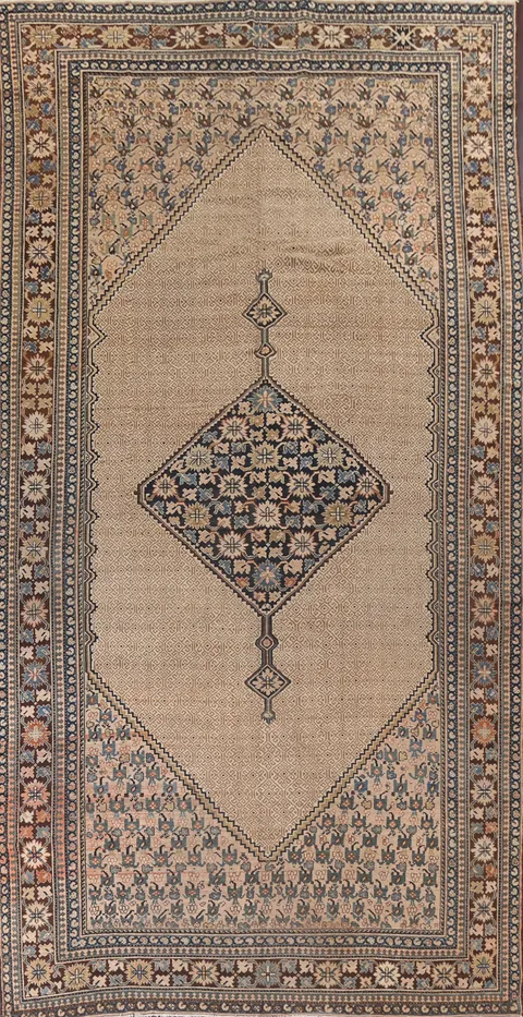 Pre-1900 Antique Vegetable Dye Bibikabad Persian Rug 10x16