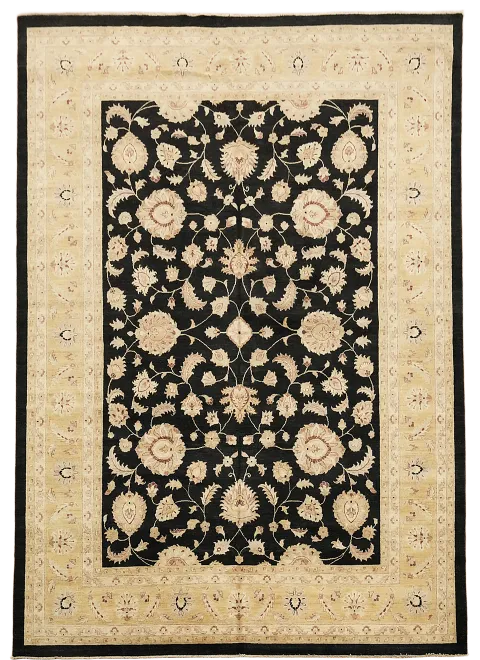 Vegetable Dye Chobi Peshawar Oriental Area Rug 9x12