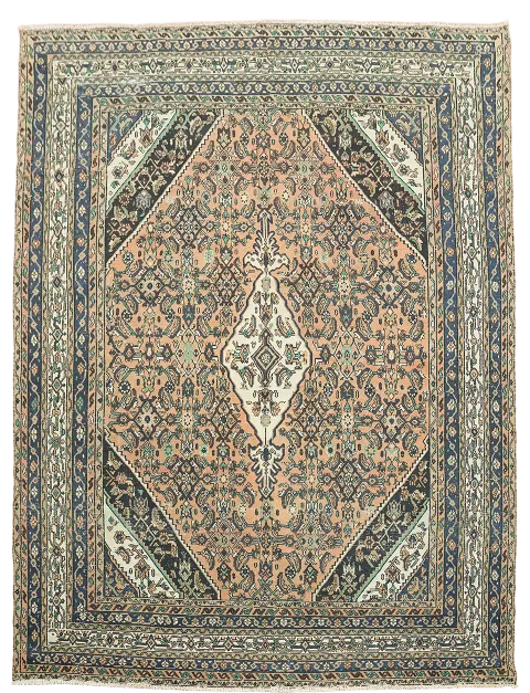 Geometric Wool Hamedan Persian Area Rug 9x11