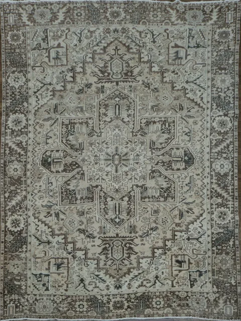 Vintage Muted Color Vintage Heriz Persian Area Rug 8x11