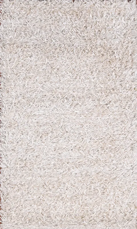 Contemporary Shaggy Oriental Rug 2x4