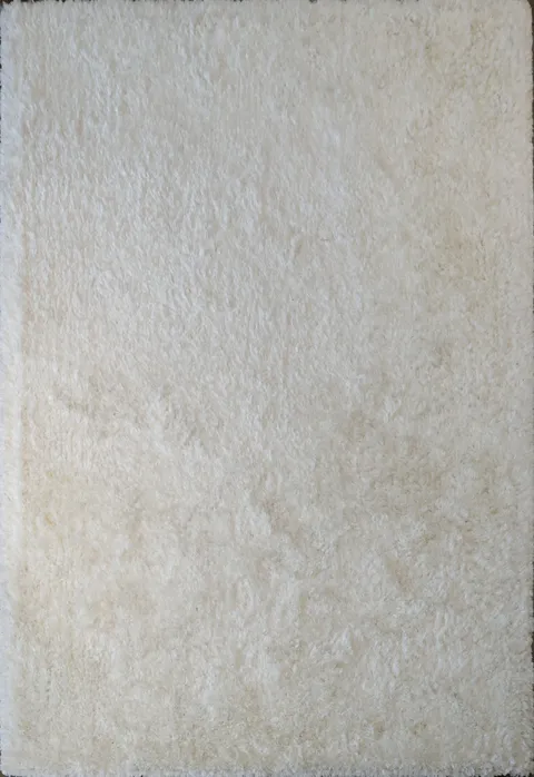 Modern Plush Shaggy Oriental Area Rug 6x9