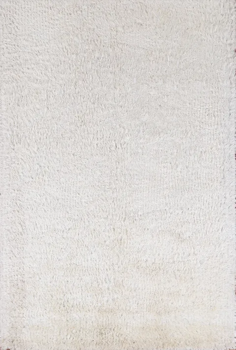 Contemporary Plush Shaggy Oriental Area Rug 5x8